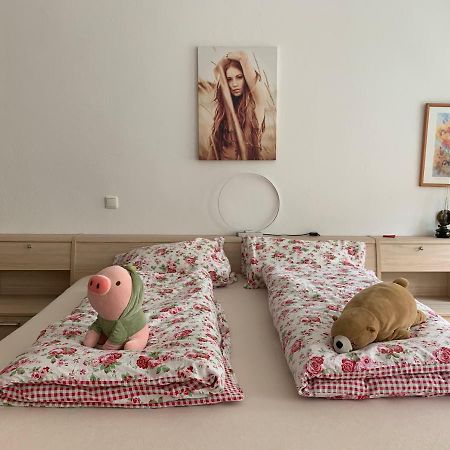 Ferienwohnung Annaberg-Buchholz Bagian luar foto